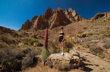 Tenerife Wonder Walk