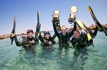 Discover Scuba Diving for Beginners