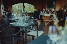 Lucca: Wine Tasting Experience - Tenuta Adamo Winery