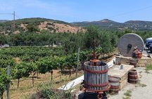Private Tour: Elafonisi Beach & Cretan Flavors Honey Wine & Olive