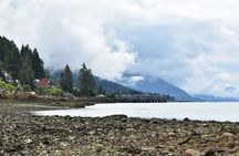 Wrangell E-Bike and Hike Adventure