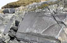 Wrangell E-Bike and Hike Adventure