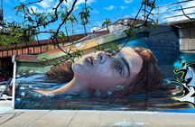 Offbeat Fulton Market Graffiti and Murals Street Art Tour