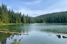 Nature Walk