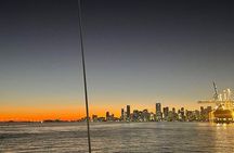 Top Rated 2 Hour Miami Night Skyline Cruise with Open Bar