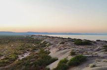 RZR Tour of Mogote Dunes and Sandboarding