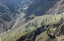 Colca Full Day Arequipa with Feed Included 