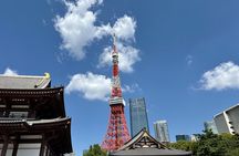 Tokyo Private Full-Day Tour by Car with Local Guide