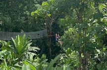 7 Hour Sticky Waterfall and Zipline Adventure