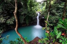 Bali Waterfalls Adventure and Wanagiri Hidden Hill