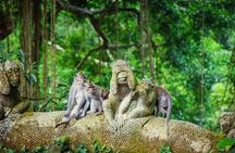 Private Ubud Highlights: Nature and Cultural Experience