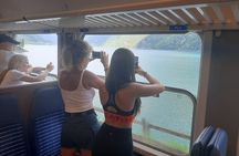 Intimate Small-Group Bernina UNESCO Scenic Train on Swiss Alps