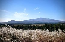 Full Day 12 hours whole Jeju Island private flexible tour