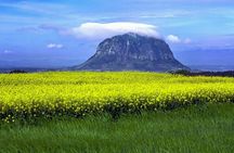 Full Day 12 hours whole Jeju Island private flexible tour