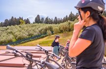 Florence: E-Bike tour to Fiesole with optional Pool or Olive Oil