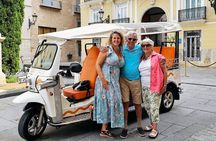 Valencia: Tuk Tuk Historical Tour