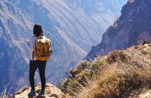 Colca Full Day Arequipa with Feed Included 