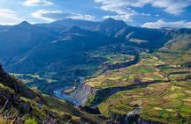 Colca Full Day Arequipa with Feed Included 