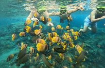 Start at Nusa Penida, Snorkeling Manta Rays + Land Tour shared 