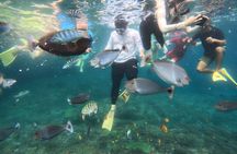Start at Nusa Penida, Snorkeling Manta Rays + Land Tour shared 