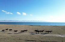 5 Day Song Kol, Kel Suu, and Naryn Tour from Bishkek