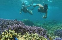 5 Secret Gili Snorkeling & Hoping Island from Gili Gede to Asahan