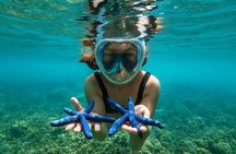 5 Secret Gili Snorkeling & Hoping Island from Gili Gede to Asahan