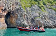 90 Minute Coastal Explorer in Torquay