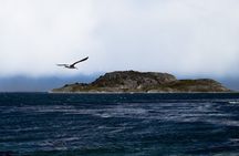 Tierra Del Fuego National Park and Fin del Mundo Train (INCLUDED)