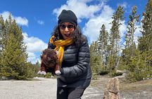 2 Day Yellowstone Safari Upper and Lower Loop Bozeman