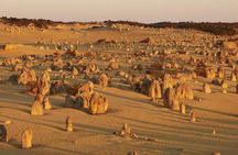 6 Hours Pinnacles Express Tour