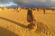 6 Hours Pinnacles Express Tour
