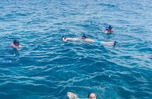 Travel to Isla Saona Vip for 4 beaches, Food Vip, drink, included