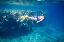 Ras Mohamed & White Island Full Day Adventure in Sharm El Sheikh