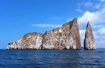 8 Day Galapagos Island Hopping For Divers