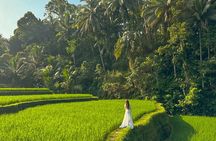Private Customize Ubud Day Tour With Experienced Driver