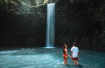 Ubud Waterfalls and Rice Terraces Private Day Tour