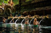 Jungle Swing, Monkey Forest, Rice Terrace and Temple Tour in Bali