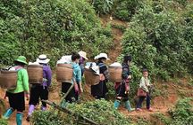 Explore Sapa: 2D1N Trekking & Hmong Culture With Dinh
