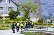 Olden: Scenic E-Bike Tour with Lakeside Picnic & Fjord Views