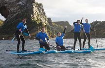 Stand Up Paddleboarding Lesson in Historic Portknockie Harbour