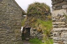 Sheepdog Demonstrions, Pet Lambs and Beehive Huts
