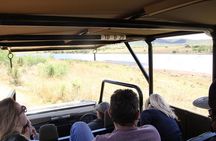 Full Day Pilanesberg Safari with Lunch and Guided Game Drives