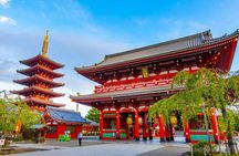 Tokyo Private Custom Full Day Sightseeing Tour by Chartered Car