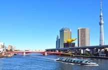 Tokyo Private Custom Full Day Sightseeing Tour by Chartered Car