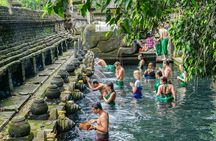 Best Of Ubud Private Tour with Optional Multitype Language Guide 