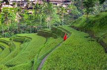 Discover The Best of Ubud: All-Inclusive and Private Guided Tour