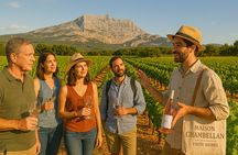 Half Day Vineyards & Wine Tasting from Aix en Provence