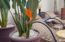 Breathe Stretching Rayon Yoga in an Exceptional Riad