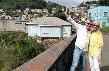 Into the Wild: Grenada Rainforest, Crater Lake & Mona Monkeys!